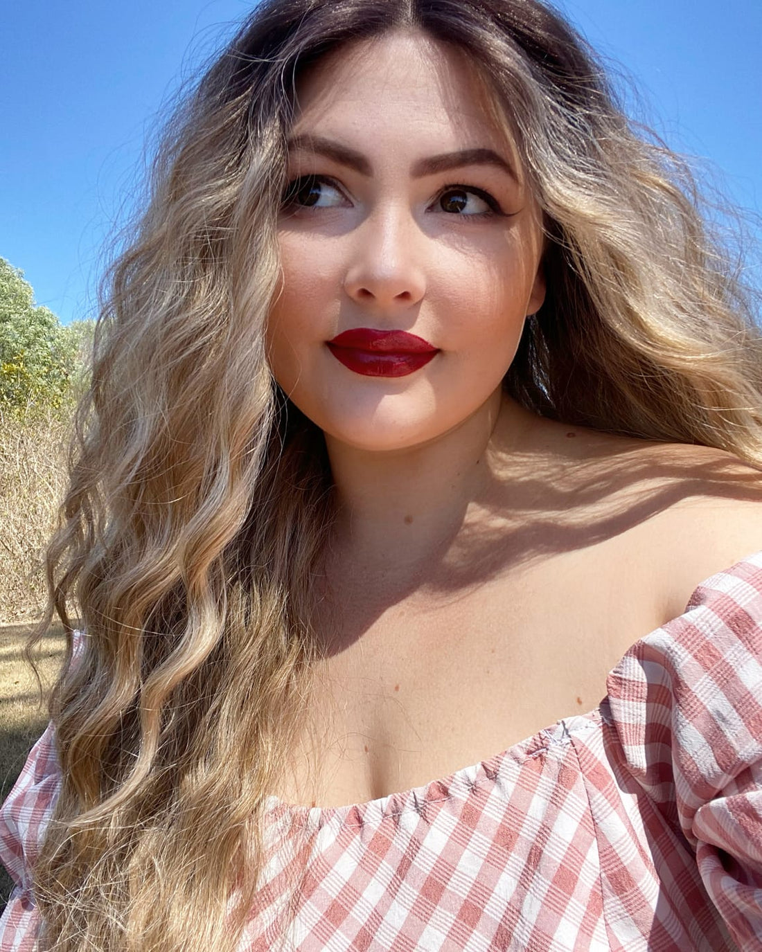 LILY - Ombre - Lace Front Wig | Brown, 28 Inch+, T-Part Lace Front, Synthetic Hair | Milk &amp; Honey Wigs
